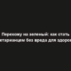 Перехожу на зеленый: как стать вегетарианцем без вреда для здоровья